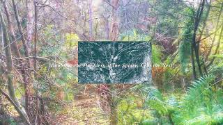 Will Oirson - Doubting the Hardness of the Spider, I eat the Nest (Official Video)