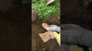 Wresting with historic window wells and windows in rock foundation