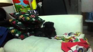 Jaybee falling asleep while sitting