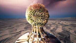 AcidDancer [Cacti]
