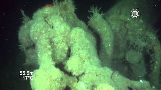 Underwater video of a shipwreck, formerly thought to be the Kolga