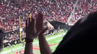 Falcons Score Another Touchdown vs Panthers