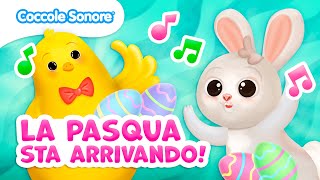 La Pasqua sta Arrivando! | Canzoni per Bambini | Coccole Sonore