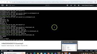 Shell Scripting - Operators