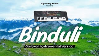 बिंदुली (Instrumental Version) | Garhwali Song | Gaurav Pahari