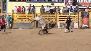 AOA Bucking Bull Derby 2015 -  All That Jazz