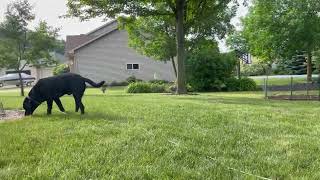 Before the sun sets on summer, let's make every moment count! #pet