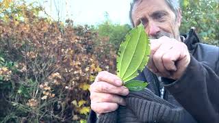 Acting in Haste and Repenting at Leisure in the Garden