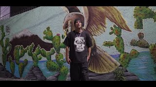 Perro Zw - Tercer Mundo