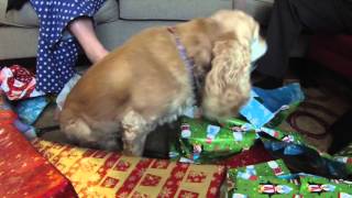 Christmas 2015