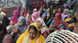 मां बेरी वाली का जागरण