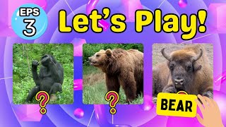 Can You Guess the Right Animal? | Eps. 3 - Animal Guess & Play for Kids