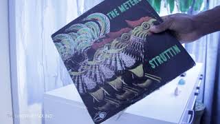 The Meters - Struttin | Vinyl Records That Influenced Me