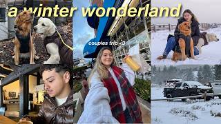 SNOW TRIP❄️⛄️ a cozy cabin, getting snowed in, sledding dogs