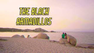 Give me Something (Official Video)- The Black Armadillos