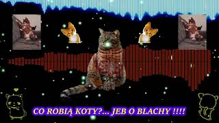 loveGirls1 Aka D.j Grucha (CO ROBIĄ KOTY?... JEB O BLACHY !!!!) Vixa Mix 2023