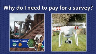 Why do I need to pay for a survey?