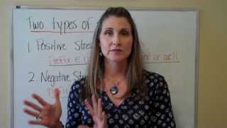 Stress Management Series: Part 1