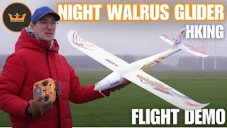 FLIGHT DEMO | Lighting Up the Skies with the Night Walrus!
