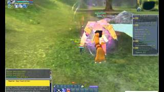 Live stream DMO