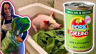 #DIDDY's F.O. #TEACHERS,  & #KAMALA's "BATHTUB KOSHER PORK-N-GREENS FOR XMAS" 🤣, vs. @RealCandaceO