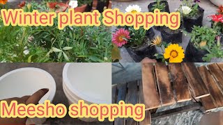 meesho garden shopping  / winter plant Shopping / November plant Shopping