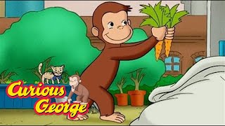 The Magical Monkey Garden 🐵 Full Episodes | Curious George