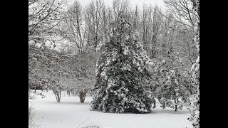 How Much Snow Did We Get