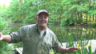 Outtake from Chris's Critters: Songs at Aullwood Audubon, June 2, 2020