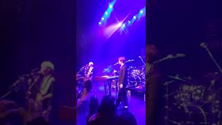 The rose- (Chatting with the audience) live in chicago 2018