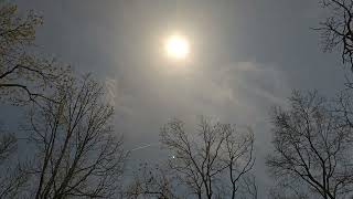 2024 Solar Eclipse in French Village Missouri