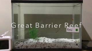 Great Barrier Reef in the Tank.