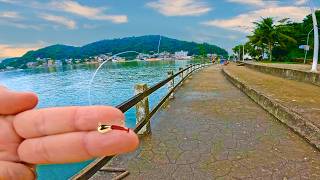 THIS NANO-BAIT made me catch A LOT OF FISH! IMPRESSIVE the power of the fishing technique!