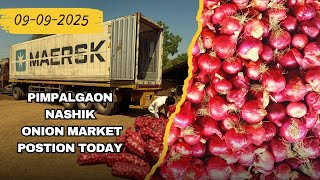 Nashik Onion Market Positions,  Rates and insights | GREEN SOURCE 09-09-2025