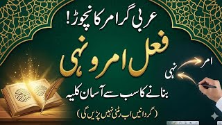 Master Fe'l Amr & Nahi | Rules of Imperative & Prohibitive Verbs | امر و نہی