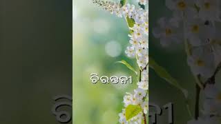 Chirantani, Odia ||Page-1||ଦୁଃସାହସିକ ଅଭିଯାନ