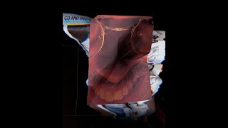 Swan Stalker / CD Player: Livestream #0093