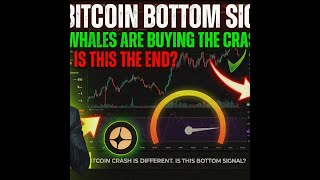 🔴 BITCOIN 24/7 LIVE CHART | Whale Trades & Market Sentiment