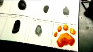 reel bumpers Black Maria