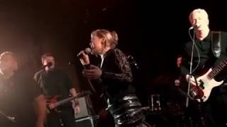 Tom Foolery Band - Proud Mary Live