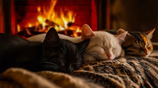 Sleep Soundly With Your Beloved Cats | Gentle Purring And Crackling Fire To Relax After A Long Day