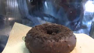 Dark Chocolate Donut, at Underwest Donuts