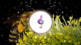 Mindful Ambience | No Copyright Meditation & Wellness Music