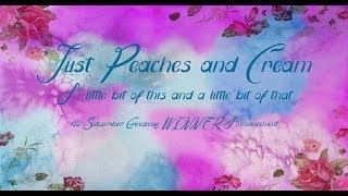 100 Subscriber Winner