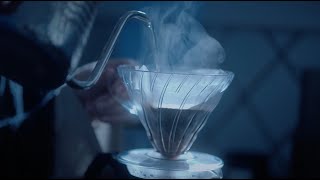Café | SURVIVOR - Luiz Carlos Persy