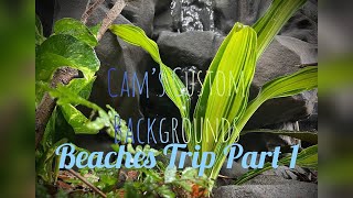 Part 1 - Beaches Scaly Beasts Background Install Trip