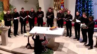 Nocoj je Sveta noč, Jože Puntar | Božični koncert Collegium Vocale