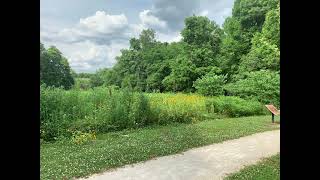 Cypress Preserve Virtual Tour