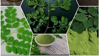 تعالي شوفي اكسير الشباب من عشبه جميله جدا لو حافظتي علي تناولها كل يوم 👍