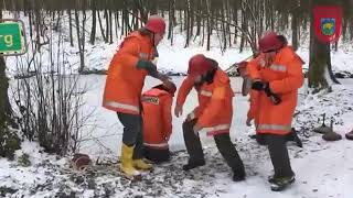 Feuerwer